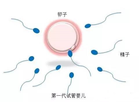 胚胎培养箱